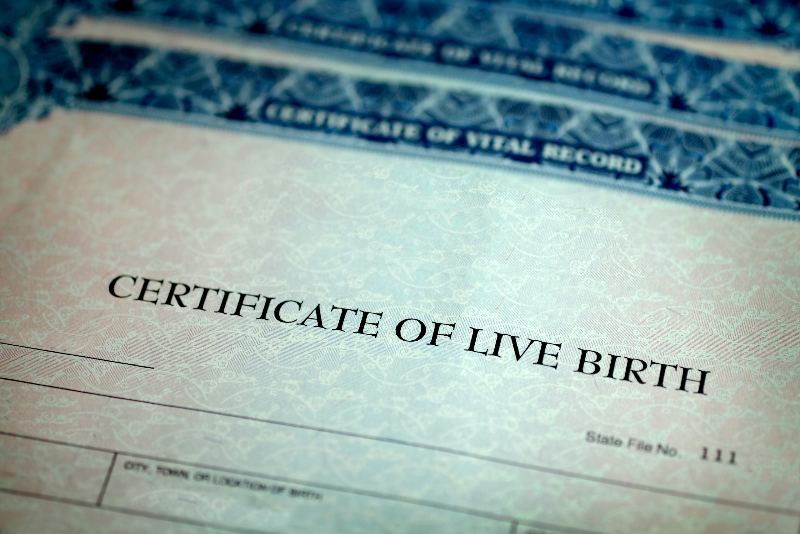 A parent holding a child's hand, representing the legal bond a parentage order secures.